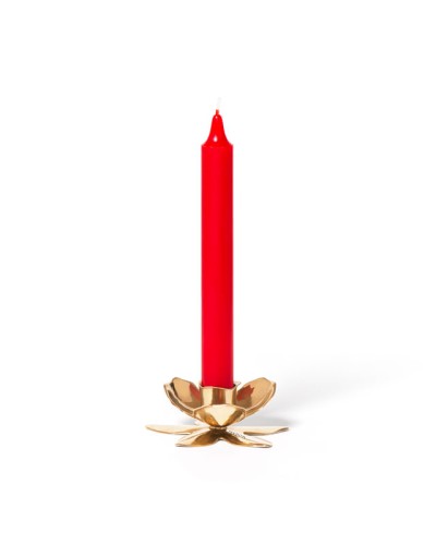 BOUGEOIR FLEUR - TRUDON