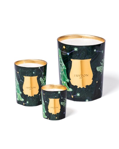 BOUGIE FIR NOEL 2025 - TRUDON