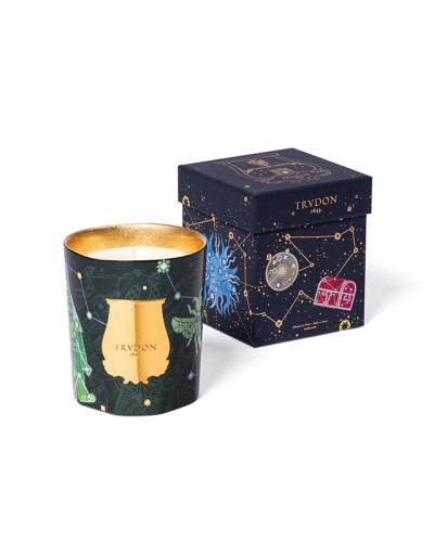 BOUGIE FIR NOEL 2025 - TRUDON