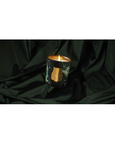 BOUGIE FIR NOEL 2025 - TRUDON