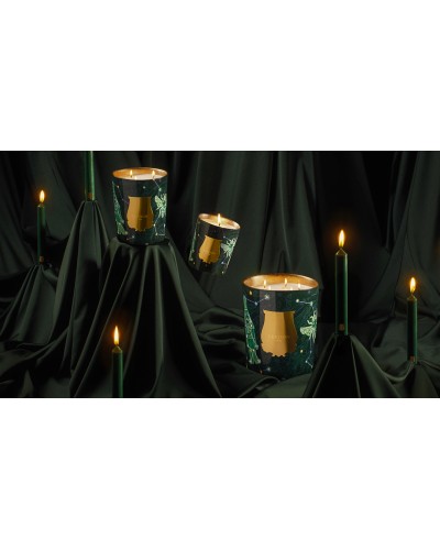 BOUGIE FIR NOEL 2025 - TRUDON